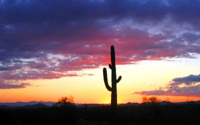 Shape Up Arizona