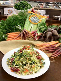 Brussel Sprout and Fennel Salad Brussel Sprout and Fennel Salad